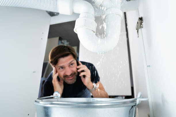 Best Local Plumber Services  in Crestwood, MO